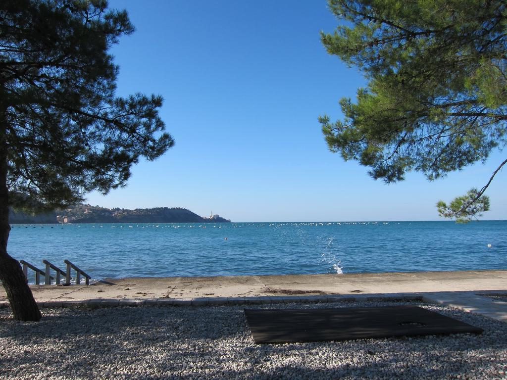 マレズィーシュ Flori Adriaticヴィラ エクステリア 写真